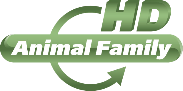 Animal Family HD